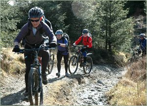 Greystoke Cycle Cafe and Tea Garden