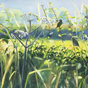 Layers in the Landscape - a Day workshop with Fiona Clucas at Greystoke Cycle Cafe