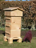 Build Your own Warre Hive with joiner beekeeper Neil Cruickshank  ...this is an example of the top bar hive you will make - Neil built this for our garden as a prototype. He uses beautiful ENGLISH CEDAR , considered one of the best woods for bees. The hive built during the workshop will contain 4 boxes, the picture show a 3 box hive. 