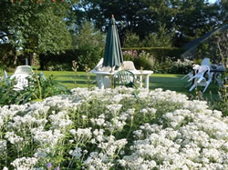 Greystoke Cycle Cafe Tea Garden - back lawn