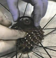 Hands On Strip and Build Bike Day with Steve Wood followed ...