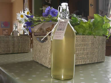 Elderflower Extravaganza with Fiona Barratt at Greystoke Cycle Cafe