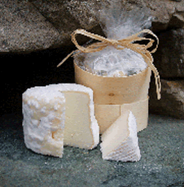 Bridekirk is a small, closed textured rustic cheese made in the style of a french crottin.