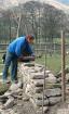 DRY STONE WALLING