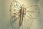 WIRE INSECTS WORKSHOP