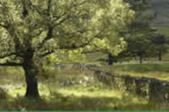 Lakeland Photographic Holidays...Lovely residential Catered Holidays all about photography in the Lake District