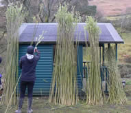 A Living Willow Workshop with Phil Bradley and Greystoke Cycle Cafe
