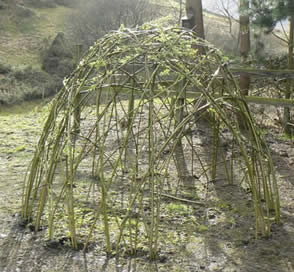 A Living Willow Workshop with Phil Bradley and Greystoke Cycle Cafe