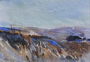 Painting in Watercolour on a Textured surface with Colin Swinton