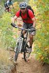 Single Track mountain bike trail at Whinlatter
