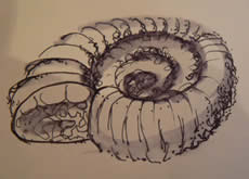 Margaret Jarvis is our outstanding tutor for beginners an dintermediates watercolours / pen and wash
