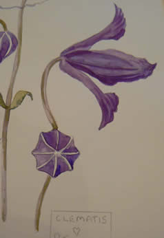 Botanical Painting in the Style of Charles Rennie Mackintosh- with Colin Swinton