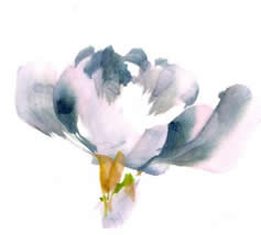 Flowers in Far Eastern Brush Painting with Irene Sanderson at Greystoke