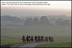 A Racing Stables owned by Nicky Richards