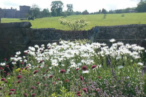 The view from the back Cycle Cafe Tea Lawn