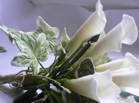 Sugarcraft at Christmas with Gillian Harris at Greystoke Cycle Cafe 