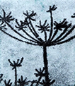 Risoscreen Enamels with Tillly Wilkinson at Greystoke Cycle Cafe - Stencilling Nature into Enamel with Tilly Wilkinson - 1 day course st Greystoke